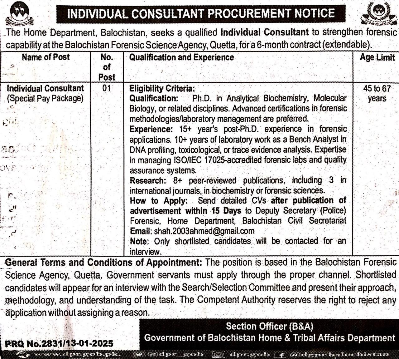 Individual Consultant 